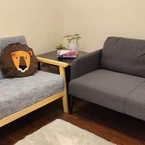 The Lion Mind Counselling Centre - Avenger Counselling Room