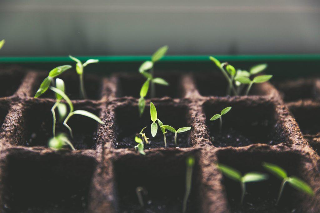 Blog Exploring the Value of Counselling as a Long-Term Investment