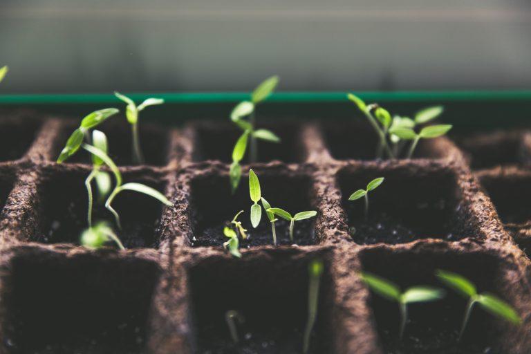 Exploring the Value of Counselling as a Long-Term Investment